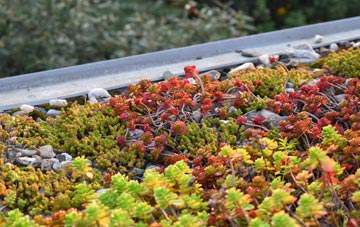 the cost of Glensburgh green roof installation