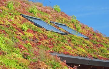 Glensburgh living roof systems