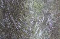 Glensburgh fibreglass roof work